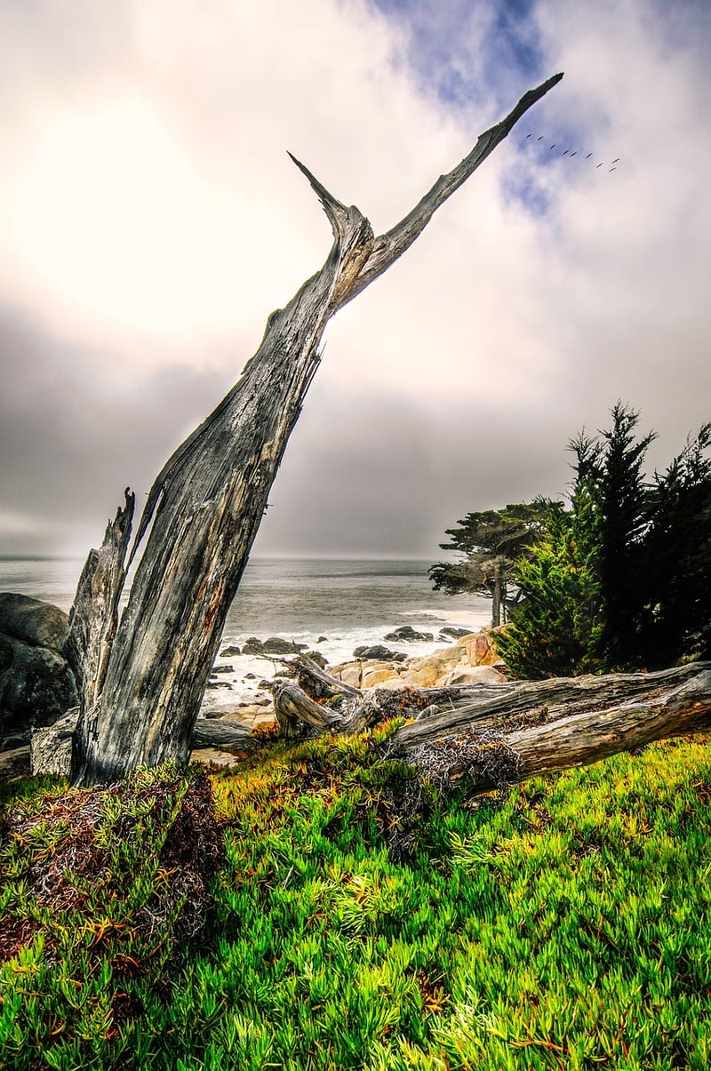 Big Sur, California